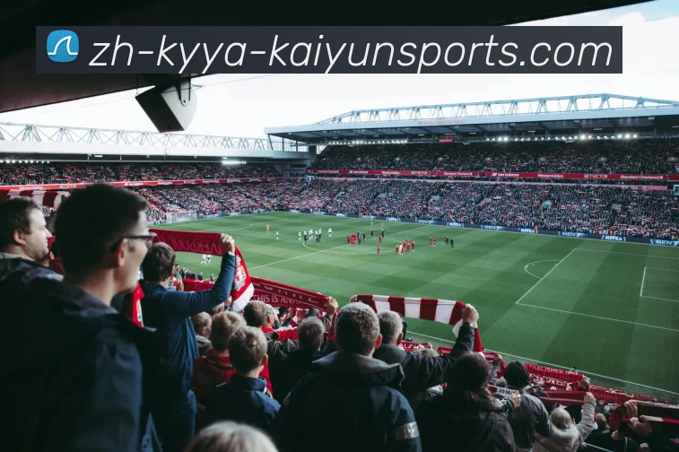 ky开云服务体系