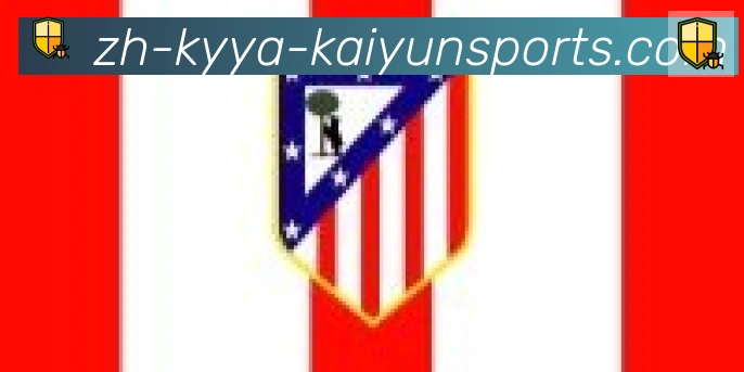 ky开云合作伙伴